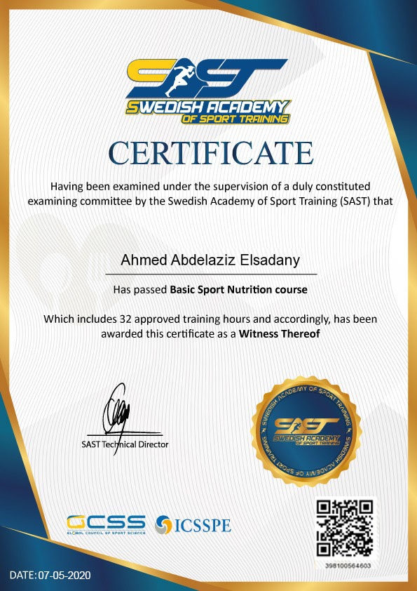 ahmed abdelaziz elsadany